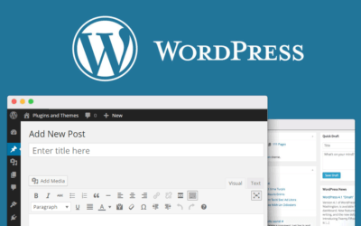 ¿Cómo ingresar contenido a tu Blog de WordPress?