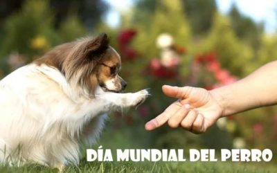 Día Mundial del Perro 2019: ¿Por qué se celebra el 21 de julio?